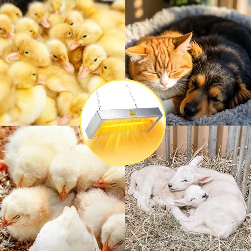 600W Heat Lamp for Chickens, Large Chicken Coop Heater, Adjustable Temp and Height, No Assembly Brooder Heater for Chicks Pets Livestock, 1 Pack - color: Heat lamp 600W - 1 Pack