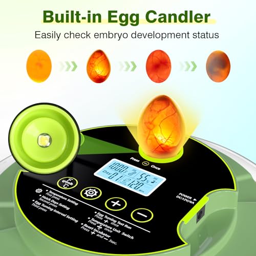 18 Chicken Egg Incubator with Temperature Control Auto Egg Turner | Humidity Display, Egg Candler, 2 Size Egg Trays, Chick Incubaotrs for Hatching Eggs Digital Incubator for Chicken, Duck Eggs - style: 18 Eggs