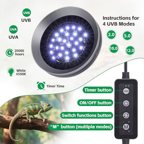 UVB Light for Reptiles with Dimming, LED UVB Light Bulb Fixture for Bearded Dragon Gecko Lizard Turtle Snake, Adjustable Brightness UVA UVB Lamp for Tropical & Desert Reptile Tank Accessories 6W Grey - size: 6W-Grey