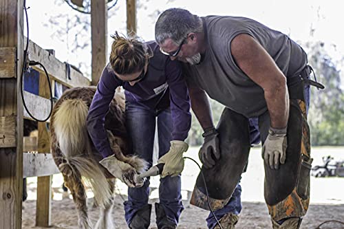 Horse Hoof Trimmers, Complete Mobile Set, Battery Not Included | Horse Hoof Trimming Tools, Farrier Tool Kit, Battery Not Included