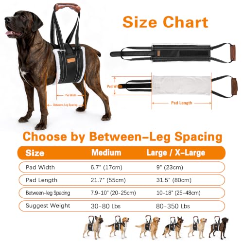 Dog Lift Harness for Large Dogs, Dog Sling for Back Leg,Senior,Disabled Dog | Comfortable Adjustable Dog Carry Harness with Handle, Dog Mobility Aids for Walking/Stand up After Hip Surgery/CCL Injury - size: L / XL：80 - 350 Lbs