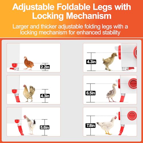 Chicken Feeder and Waterer Set - 3 Height Adjustable | Anti-roost Cone and Locking Legs Design for Backyard Flock