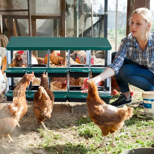 Chicken Nesting Box, 10 Hole 2 Layer Hen Nest Boxes, Roll Away Eggs Laying Boxes,Cleanable Pull Out Hen Roosting Boxes - size: Green- 10 compartment