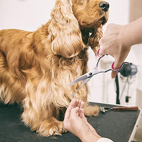 Gimars Professional 4CR Stainless Steel 6 in 1 Grooming Scissors for Dogs with Safety Round Tip, Heavy Duty Titanium Coated Pet Grooming Scissor for Dogs, Cats and Other Animals - style: Pink 6 in 1