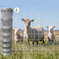 4ft x 164ft Galvanized Wire Fencing, Goat, Sheep & Deer, Durable Chain Link Fence, Heavy Zinc Coating Wire Used to Hog Goat Fencing for Yard Garden and Field