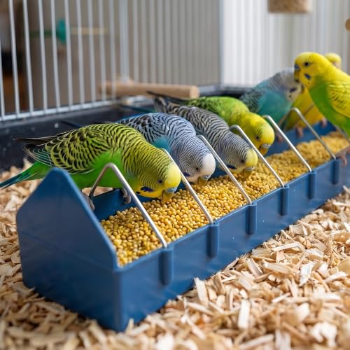 4 Pack Large Size Pigeon Feeder 11 Slot Plastic Thick Container Trough Dish Food Dispenser Less Waste with Removable Steel Wires for Pigeons Quails Birds Chicks Ducklings Poultry (Length, 23.6 inches)