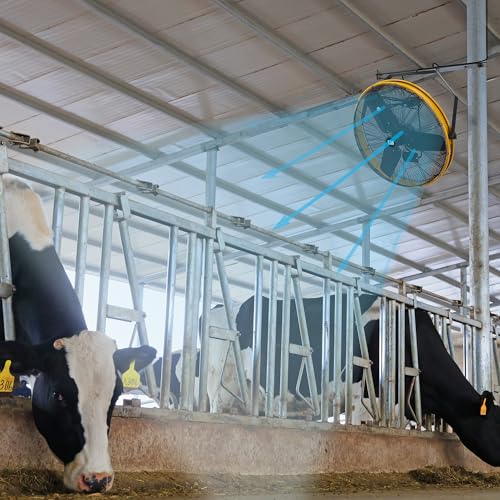 CAT fans - 30 Inch Outdoor IPX4 Weatherproof High Velocity Wall Mounted Shroud Fan. 8900 CFM, 3 Speed - For Industrial, Commercial, & Residential Use. cETL Certified (HVOD-30S-NG)