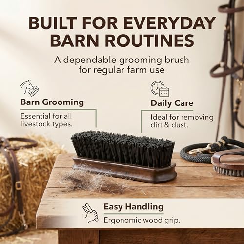 Small Livestock Grooming Brush for Horse, Cow, Pig, Sheep & Goat – Stiff Bristle Barn Brush with Wooden Handle, Cattle Farm Tool for Show Day Dirt, Hair & Coat Care