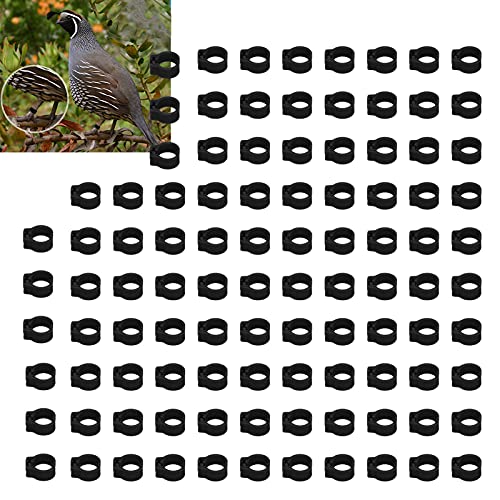 Omabeta 100PCS Reusable 8mm Pigeons Identification Leg Rings for Easy Dovecot Management and Marking, Lightweight Plastic Bands for Poultry Supplies (Black) - color: Black