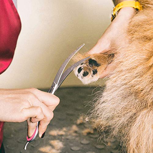 Gimars Professional 4CR Stainless Steel 6 in 1 Grooming Scissors for Dogs with Safety Round Tip, Heavy Duty Titanium Coated Pet Grooming Scissor for Dogs, Cats and Other Animals - style: Pink 6 in 1