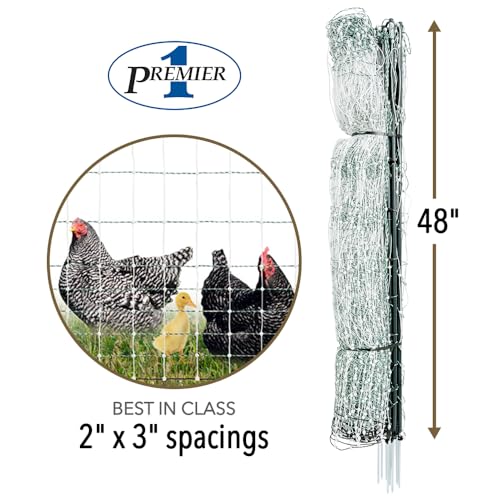 Premier 1 PoultryNet® PrimaPosts™ Fence – Chickens – 48"H x 100'L | Green/white. Rigid PrimaPosts™, extra strength. For chickens, ducks & geese. Energizer sold separately. - color: Double Spike, Green/White