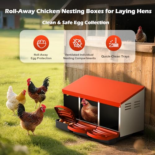 Chicken Nesting Boxes, Roll Away Laying Nest Box for Hens, 3 Compartments | Rollout design with removable drawer for easy egg collection and cleaning, built with durable galvanized steel, Orange - color: Orange-Red