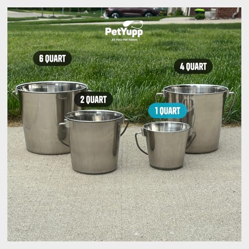 1 Quart Stainless Steel Bucket - Durable Metal Bucket 0.25 Gallon | Rust-resistant Bucket For Food Prep Cleaning Feeding & Watering Pets & Livestock - For Crates Kennel Cages & Fences - size: 1 Quart