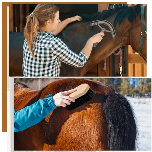 Abbylike 12 Pieces Horse Grooming Kit Racing Festival Tack Room Supplies Horse Brush Sets Equine Care Cleaning Kit Shedding Grooming Massaging Tools(Dark Gray) - color: Dark Gray