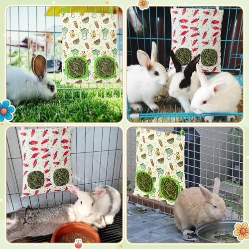 UPINS 2Pack Guinea Pig Hay Feeder Bag,Bunny Rabbit Cage Bag Hanging Holder | Guinea Pig Cage Feeder,for Bunny Rabbits,Chinchillas,Hamsters,Small Pets,and Animals - color: Red Green, size: 28 x 25 cm