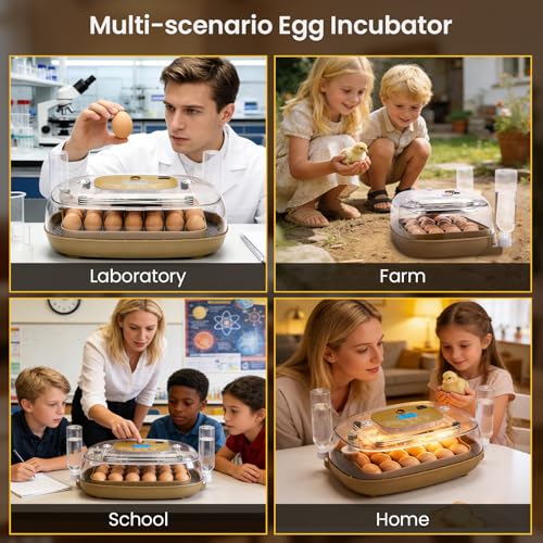 24-Egg Incubator: Auto Egg Turner, Precise Temp Control, Auto Water Refill, Candler | 360° Full Clear View | Fits Chicken/Duck/Quail/Goose/Parrot Eggs | Farm/Home/Classroom Use