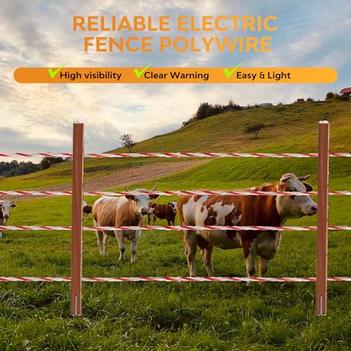 Electric Fence Polywire, 3280FT 6-Strand Stainless for Livestock | Farms & Ranches, 1000M Length, 6 Stainless Steel Strands, High Visibility Red & White, Fits Horses, Cattle, Sheep & Goats