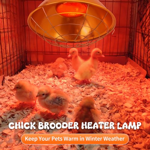 Large Chicken Coop Heat Lamp with 250w Infrared Heat Bulb | Adjust 2 Mode Temperature&Hanging Height,Aluminum Reflector for Coop Brooder,Cat,Puppy,Lamb