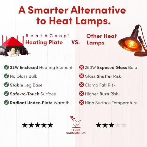 RentACoop 12x12” Adjustable Heating Plate with Hard Anti-Roost Cone Set