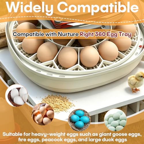 JGT360 Goose Egg Tray, Holds 10 Eggs, Compatible with Nurture Right 360 | Accommodates Jumbo & Heavy Breed Types, Promotes Even Airflow, Sturdy Washable Build, Reliable Replacement