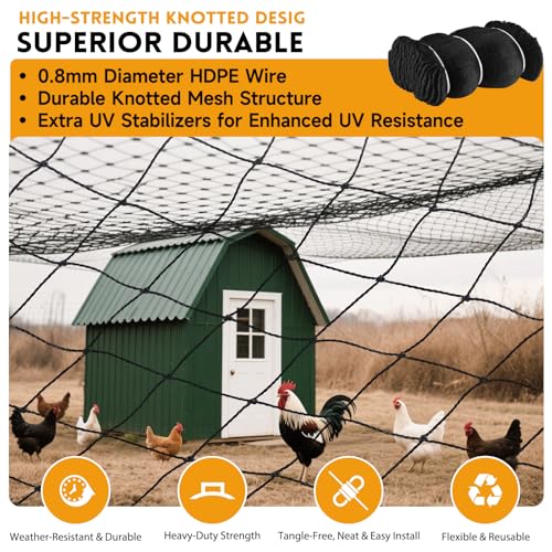 Heavy Knotted Poultry Netting for Chicken Run, 2" Mesh, 50x50 ft HDPE Chicken Coop Netting Cover, Hawk Netting for Chickens, Guards Poultry, Pets & Birds Against Raccoons & Predators - style: 50' x 50' - 2"
