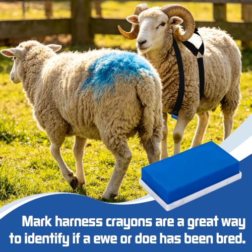 Ram Breeding Marking Harness for Sheep & Goat, 3 Pack Mating Crayon Block | Marker with Heavy-Duty Nylon Adjustable Straps, Heat Detection & Mating Record Tool, Farm Livestock Breeding Equipment - color: Blue