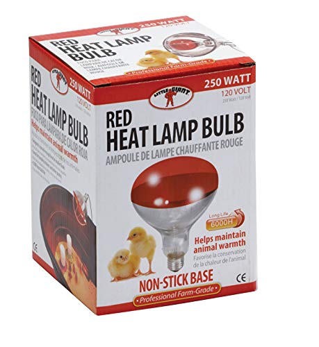Little Giant® Bulb for Brooder Lamp | Heat Lamp | 6000 Hour Life | 250 Watt | Red Bulb - color: Red