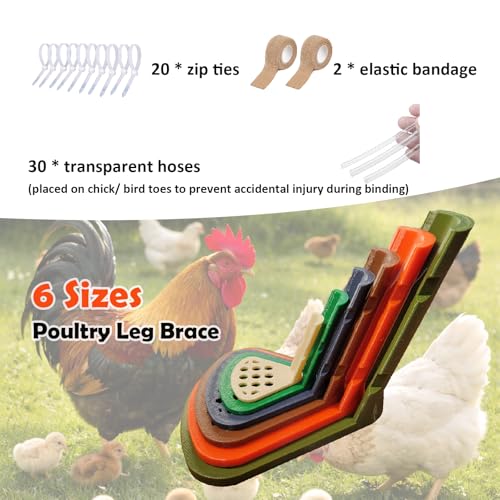 6 Sizes Chicken Leg Splint Set, Poultry Leg Brace for Chickens, Ducks & Geese, Bumblefoot, Curled Toes & Broken Legs Support Injury Recovery