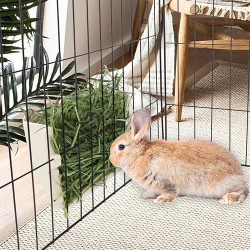 Hypeety Rabbit Hay Feeder Automatic Hay Rack for Guinea Pigs, White | Durable plastic holder, easy to fill, reduces hay waste, for rabbits/guinea pigs/chinchillas/small animals, cage accessories - color: White, size: 1pc