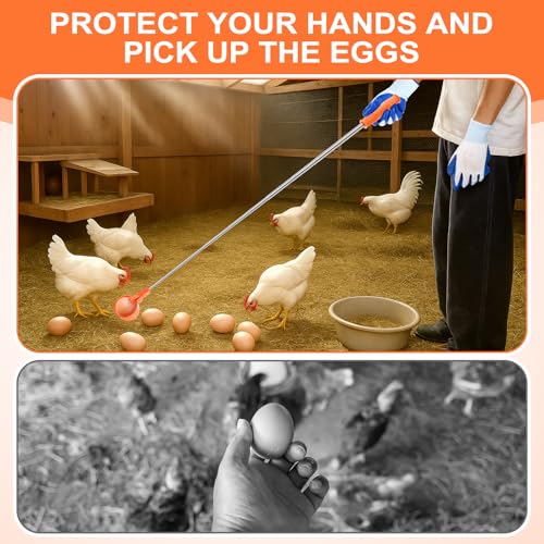 Lounsweer Egg Grabber for Chicken Eggs,15.7-76inch Extendable Stainless Steel Egg Picker Tool with (1pcs Extended Handle&1pair Non-Slip Gloves) for Picking Eggs from Coop, Poultry Nest, and Farm Use - color: Orange