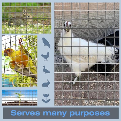 16GA Galvanized 16in x 25ft-1in x 1in Welded Wire Mesh Garden Economy Fence - size: 16"x25'-1"x1" 16GA Galvanized