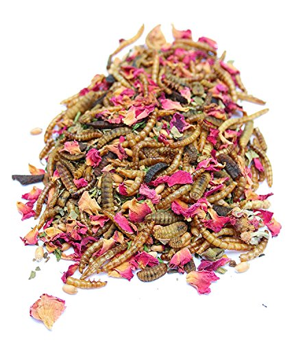 Dried Mealworm and Herb Treat for Backyard Chickens, Healthy Backyard Chicken Feed and Supplies, BEE A Beautiful Hen 4 Pounds (4 pounds (64 oz) - size: 4 Pound (Pack of 1)