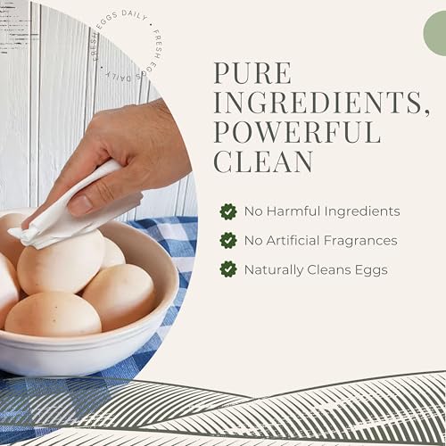 Fresh Eggs Daily Egg Wipes – Enzyme-Based Egg Cleaner for Backyard Chickens, No Rinse Needed, Natural Enzyme Formula – 40 Natural Cleaning Wipes - size: 40 Count (Pack of 1)
