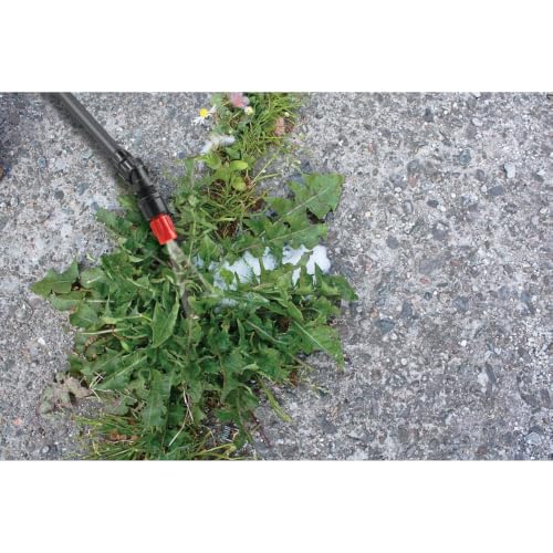 SOLO 430-2G 2-Gallon Handheld Sprayer with Viton® Seals in Key Locations
