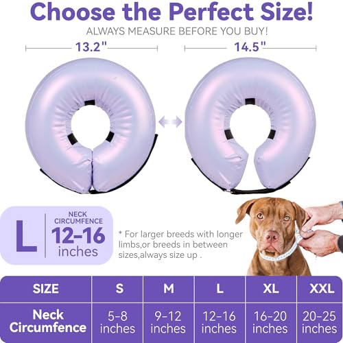 Inflatable Dog Cone Collar - Donut Collar Recovery ECollar Alternative After Surgery - Soft Dog Cone for Small Medium Large Dogs - size: Large [Neck:12"-16"]