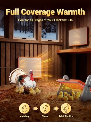 Ficuswin Brooder Heater for 20 Chicks, Chicken Heating Brooder Plate with 3 Adjustable Temp Settings, Safe Coop Heater for Poultry Cage Warmer, 16"x10" Energy Efficient Radiant Heat Pad(ETL Compliant)