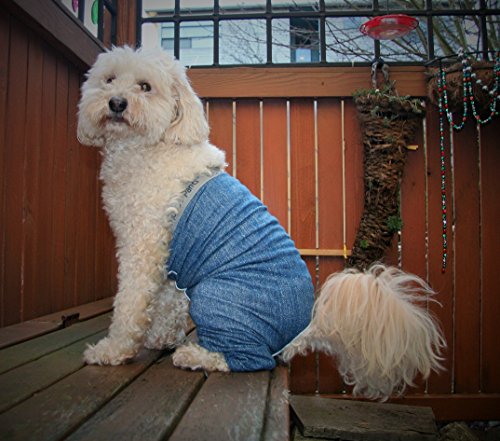 Original Dog Pants, E-Collar Alternative, Dog Diaper, Dog Pajamas, Medium Dog, Blue - color: Blue, size: Medium