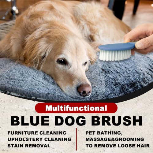 Blue Small Short Haire Dog Brush for Shedding 6.5in/16.5cm | Pet Grooming Brush for Short Haired Dogs&Cats,Remove Loose Hair Knots Tangles,Pet Hair Removal Brush for Clothes Sofa Cars