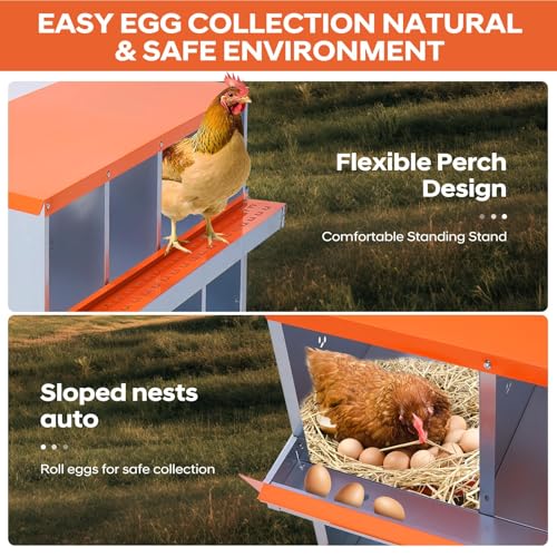 Garvee Chicken Nesting Box, 8 Compartments Nesting Box for Chickens, Galvanized Steel Chicken Laying Box for Easy Egg Collection, Wall Mounting - color: Orange | 8 Compartments+legs