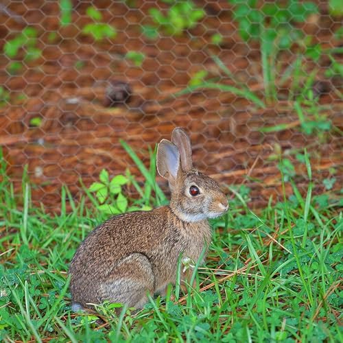 Chicken Wire 15.7 in x 237 in Poultry Wire Netting Hexagonal Galvanized Mesh Garden Fence Barrier for Pet Rabbit Chicken Fencing - color: Silver, size: 15.7"x237"+0Ties