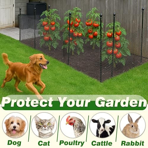 Gardzen Plastic Chicken Wire Mesh 16in x 10ft with 20pcs Ties | Durable Chicken Fence for Poultry, Garden Protection & DIY Crafting, Heavy-Duty Mesh Netting for Outdoor & Indoor Use - size: 16In x 10ft