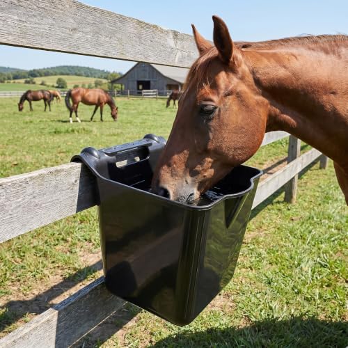 Horse Feed Bucket,15 Quart Plastic Hook Over Feeder for Horse Sheep Cattle | Mountable Livestock Plastic Feed Bucket | Horse Feeder & Water Pail | Easy Hanging | Ideal for Horse Stable,Farms,Ranch