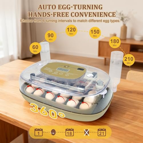 Series III - 24 Egg Automatic Incubator, Full-Stage Adaptive Humidity (Dual-Bottle) & Auto Temp Control, Custom-Interval Auto Turn & Auto Stop, Preset Incubation Days, Adjustable Egg Spacing, Candler - size: 24-Egg Green