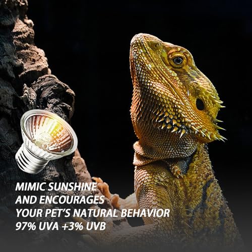 50W UVA Bulbs, 6-Pack Light Turtle Heat Lamp for Reptiles and Amphibian Tanks, Terrariums and Cages, Fit E26 Heat Reptile Lamp,Works with Various Lamp Fixtures