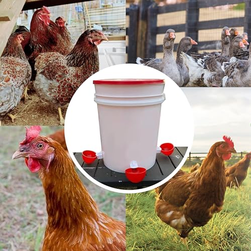 8pack Large Poultry Waterer, Professional Chicken Water Cups for Poultry LANARP Float Style Gravity Chicken Watering System, Tee Fittings Poultry Waterer Suitable, with Mounting Hole Opener (8)