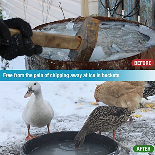 150W Chicken Waterer Heater, Cast Aluminum Utility De-Icer | for Max 15Gal, 5FT, Non-Conductive, Anti-Rust, Heated Chicken Waterer, Bird Bath Heater, Livestock Water Heater for Farm - size: 150-Watt(New)