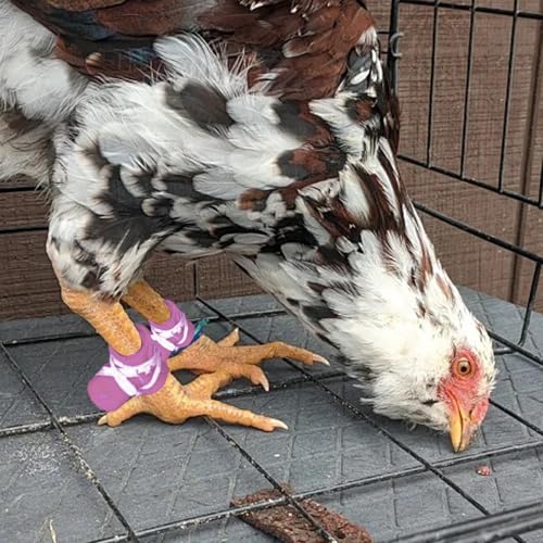 Chicken Shoes Gamefowl Rooster Supplies Rooster Booster Chicken Boots Mitt para Gallos Hen Gamefowl Supplies Fighting Protection 2 Pairs Pink and Green - color: Pink and Green