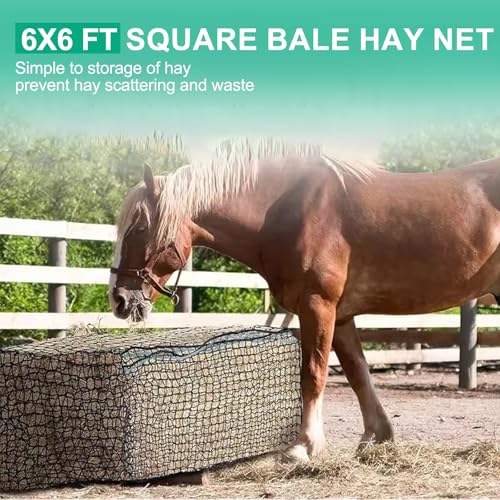 6x6 ft Square Bale Hay Net - Large Slow Feeder for Horses & Livestock, Knotless Design Slow Feeder Hay Nets, Fits 4x4ft 5x5ft 6x6ft Round & 3x3x8ft 4x4x8ft 5x5x8ft Square Bales (Black-Square) - color: Black-Square