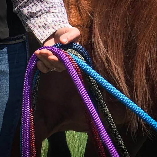 22 Foot Ground Training Rope - Strong Everyday Use All-Purpose Large Horse Lead Rope with Loop & Latigo Popper | 9/16" Diameter Smooth Yachting Braid, Blue Black Blend - color: Blue Black Blend