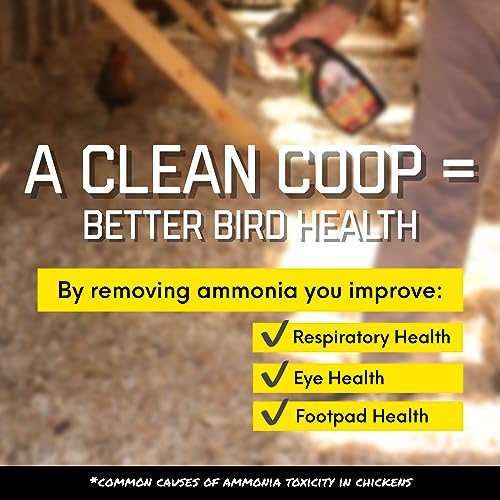 Chick Fresh Odor Eliminator for Backyard Chickens. Makes 1 Gallon of Solution Eliminates Coop, Brooder Odor, Etc. Concentrate w/ 128 oz Empty Sprayer - size: 1 Gallon